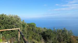 Villa con dependance e vista mare in vendita a Monte Argentario