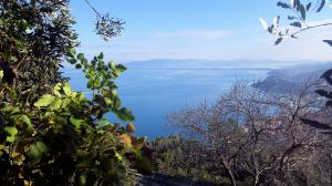 Villa con dependance e vista mare in vendita a Monte Argentario