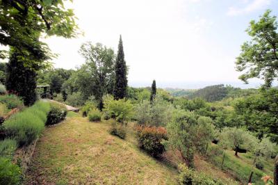 Casa colonica con piscina e vista panoramica in vendita a Buggiano