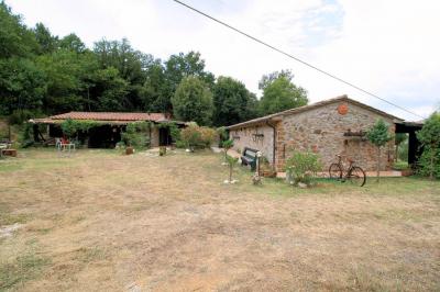 Rustici con vista panoramica in vendita a Roccastrada
