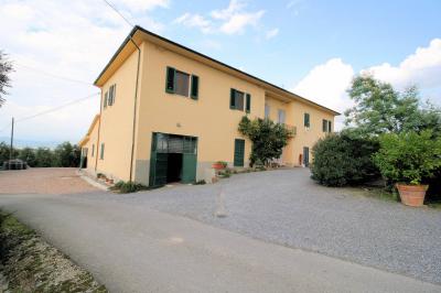 Azienda agricola produzione vino ed olio in vendita a Cerreto Guidi