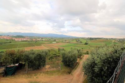 Azienda agricola produzione vino ed olio in vendita a Cerreto Guidi