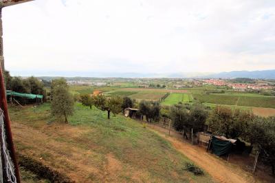 Azienda agricola produzione vino ed olio in vendita a Cerreto Guidi