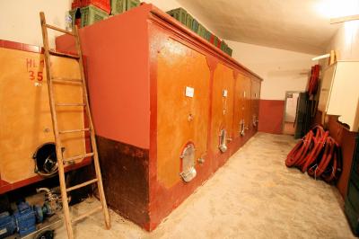 Azienda agricola produzione vino ed olio in vendita a Cerreto Guidi