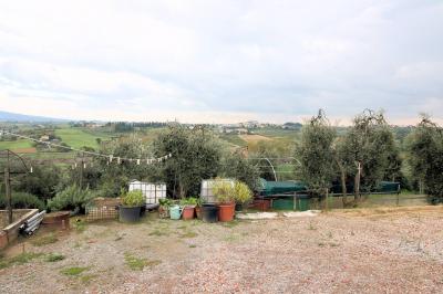 Azienda agricola produzione vino ed olio in vendita a Cerreto Guidi