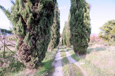 Complesso immobiliare di ampia metratura da ristrutturare in vendita a Altopascio