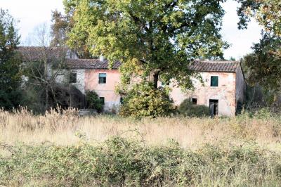 Complesso immobiliare di ampia metratura da ristrutturare in vendita a Altopascio