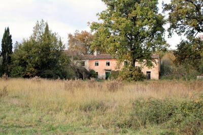 Complesso immobiliare di ampia metratura da ristrutturare in vendita a Altopascio