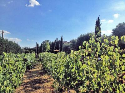 Villa in stile rustico Toscano ristrutturata con vigneto in vendita a Cortona