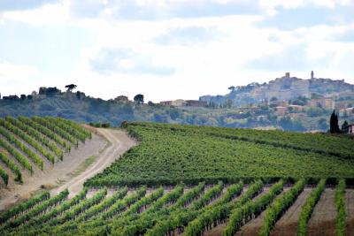 Azienda vinicola di alto livello in vendita a Montepulciano