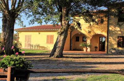 Complesso agrituristico con parco e piscina in vendita a Massa Marittima