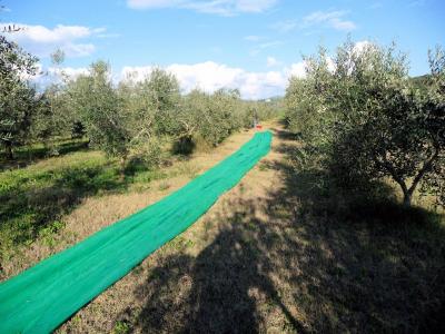 Complesso agrituristico con parco e piscina in vendita a Massa Marittima