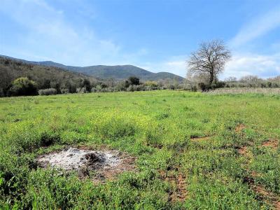 Podere panoramico in Maremma in vendita a Gavorrano