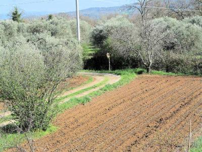 Podere panoramico in Maremma in vendita a Gavorrano