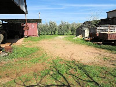Podere panoramico in Maremma in vendita a Gavorrano