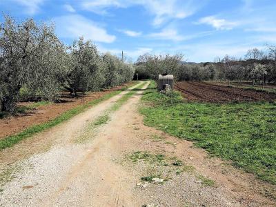 Podere panoramico in Maremma in vendita a Gavorrano