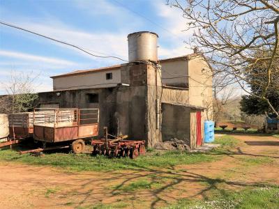 Podere panoramico in Maremma in vendita a Gavorrano