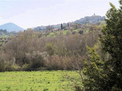 Podere panoramico in Maremma in vendita a Gavorrano