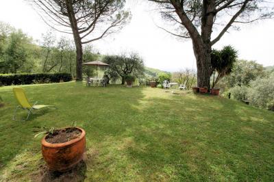 Podere con vista panoramica in vendita a Monsummano Terme