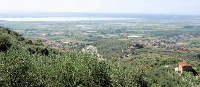 Villini bifamiliari di nuova progettazione con parco piscina e vista mare in vendita a Massarosa
