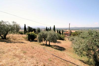 Villa panoramica in collina con parco e piscina in vendita a Capolona