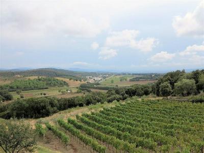 Casale ristrutturato con vista panoramica parco e piscina in vendita a Massa Marittima