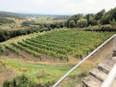 Casale ristrutturato con vista panoramica parco e piscina in vendita a Massa Marittima