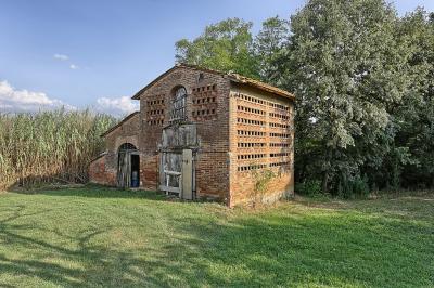 Azienda di prestigio in vendita a Montaione