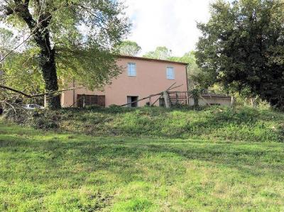  for sale in Roccastrada