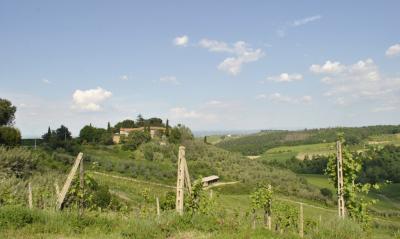 Azienda vitivinicola con attivita' agrituristica in vendita a Montaione