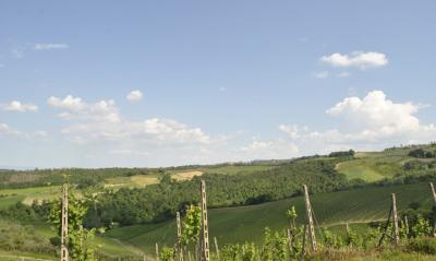 Azienda vitivinicola con attivita' agrituristica in vendita a Montaione