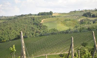 Azienda vitivinicola con attivita' agrituristica in vendita a Montaione