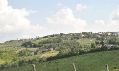Azienda vitivinicola con attivita' agrituristica in vendita a Montaione