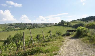 Azienda vitivinicola con attivita' agrituristica in vendita a Montaione