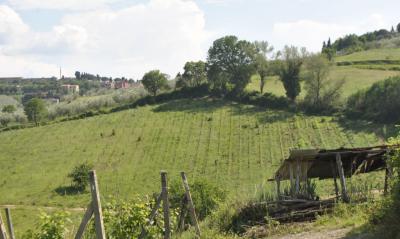 Azienda vitivinicola con attivita' agrituristica in vendita a Montaione