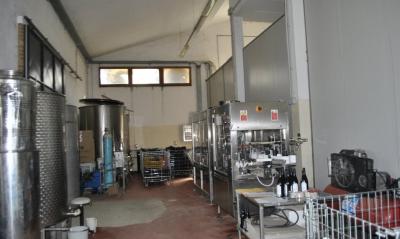 Azienda vitivinicola con attivita' agrituristica in vendita a Montaione