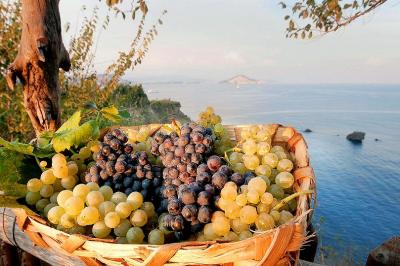 Azienda agricola con villa e piscina in vendita a Montecatini Val di Cecina