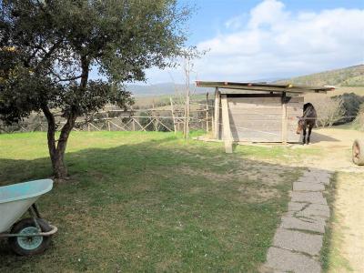 Rustico ristrutturato in posizione collinare in vendita a Gavorrano