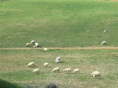 Rustico ristrutturato in posizione collinare in vendita a Gavorrano