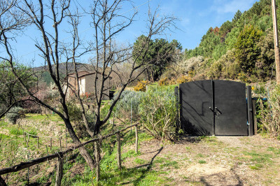 Rustico in stile Toscano con vista panoramica in vendita a Vicopisano
