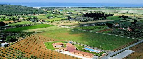 Struttura agrituristica ben avviata con piscine in vendita a Scarlino