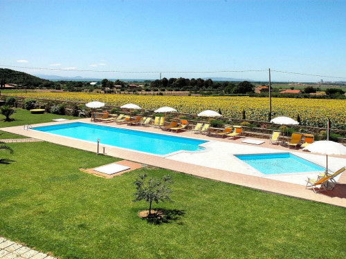 Struttura agrituristica ben avviata con piscine in vendita a Scarlino
