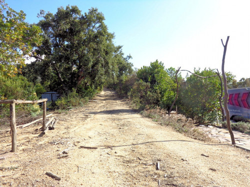 Terreno per azienda agricola in posizione stupenda in vendita a Campo nell'Elba