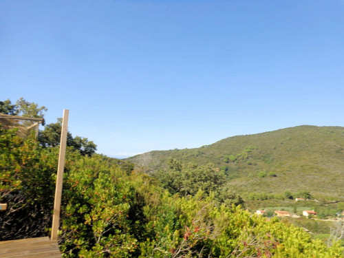 Terreno per azienda agricola in posizione stupenda in vendita a Campo nell'Elba