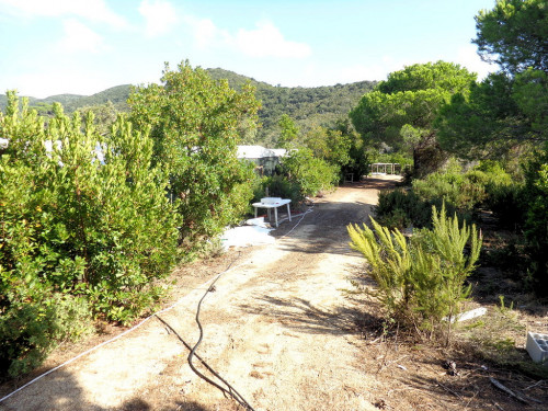 Terreno per azienda agricola in posizione stupenda in vendita a Campo nell'Elba