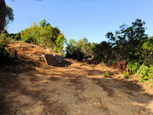 Terreno per azienda agricola in posizione stupenda in vendita a Campo nell'Elba