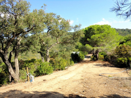 Terreno per azienda agricola in posizione stupenda in vendita a Campo nell'Elba