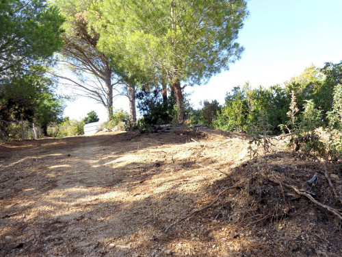Terreno per azienda agricola in posizione stupenda in vendita a Campo nell'Elba
