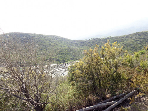 Terreno per azienda agricola in posizione stupenda in vendita a Campo nell'Elba