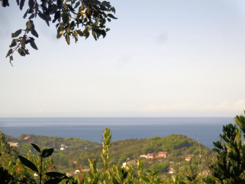 Terreno per azienda agricola in posizione stupenda in vendita a Campo nell'Elba
